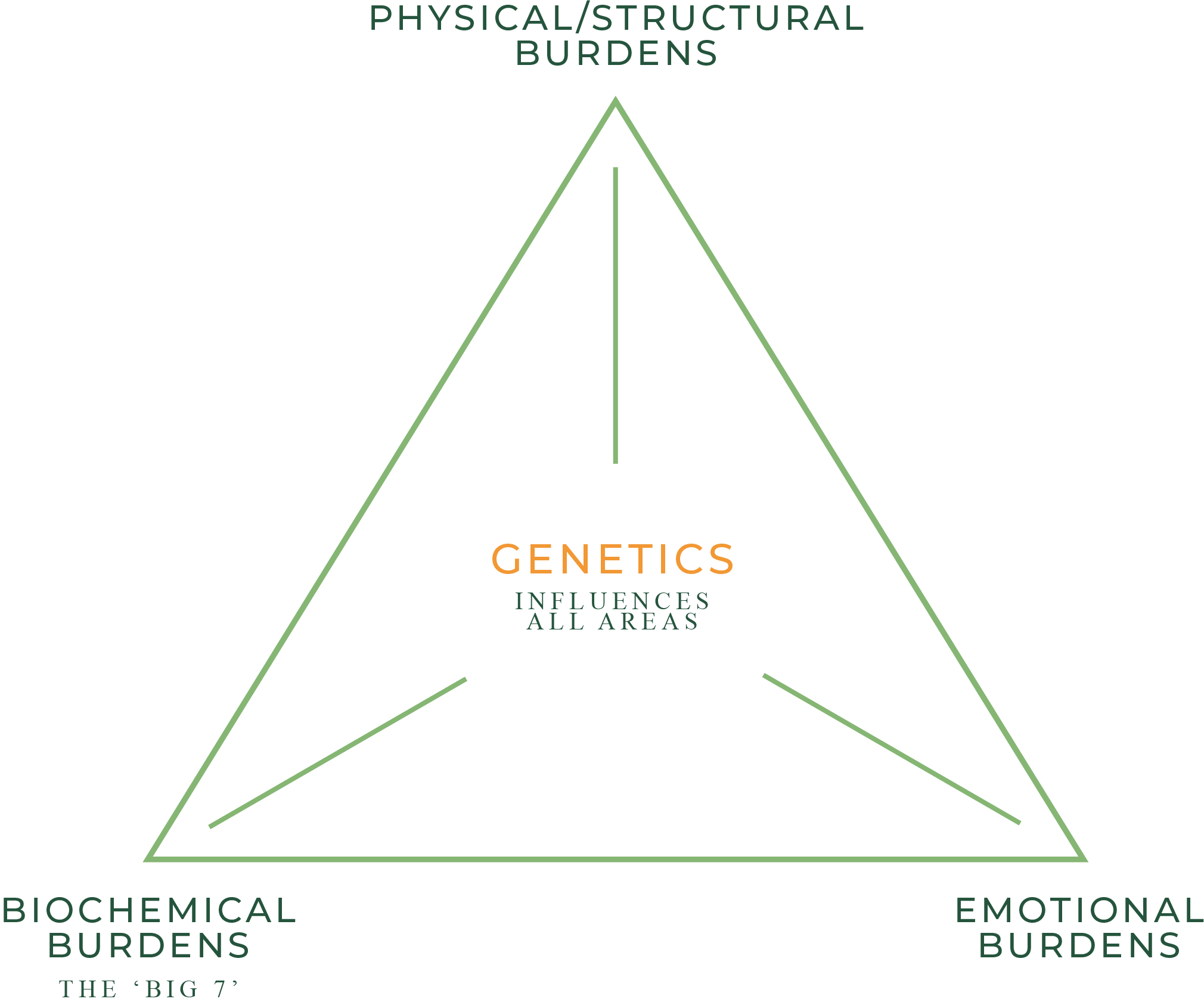 Burdens Diagram_1